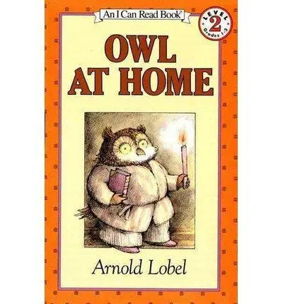 Owl At Home