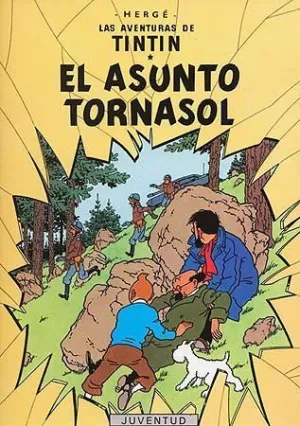 EL ASUNTO TORNASOL