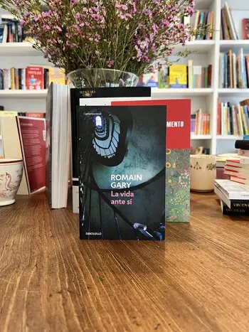 La vida ante sí - Romain Gary